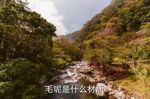 毛呢是什么材質(zhì)