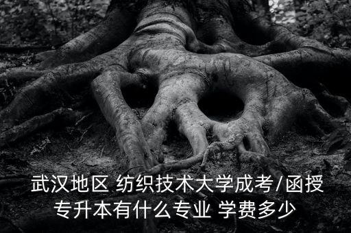  武漢地區(qū) 紡織技術(shù)大學(xué)成考/函授專升本有什么專業(yè) 學(xué)費(fèi)多少