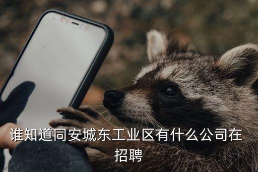 日發(fā)紡織機(jī)械有限公司招聘,聊城日發(fā)紡織機(jī)械有限公司招聘