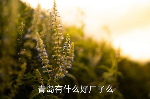 青島紡織機(jī)械廠