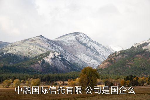 中融國際信托有限 公司是國企么
