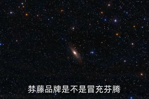 棼藤品牌是不是冒充芬騰