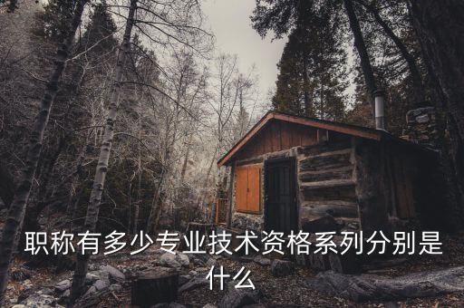 江蘇省紡織工程學(xué)會職稱評審