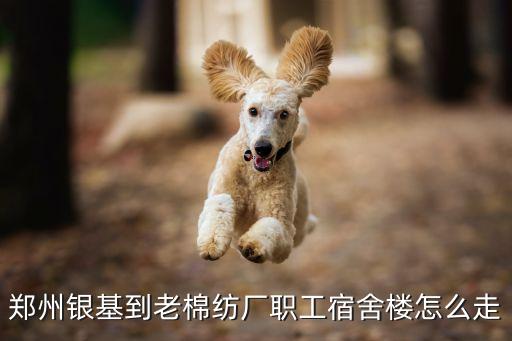 鄭州銀基到老棉紡廠職工宿舍樓怎么走