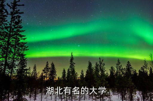 湖北有名的大學(xué)
