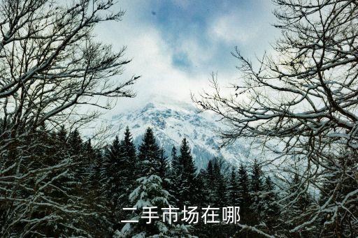  二手市場在哪
