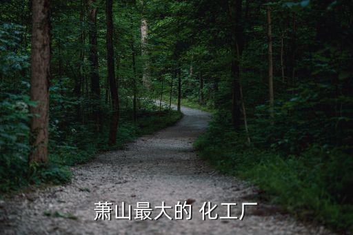 蕭山最大的 化工廠
