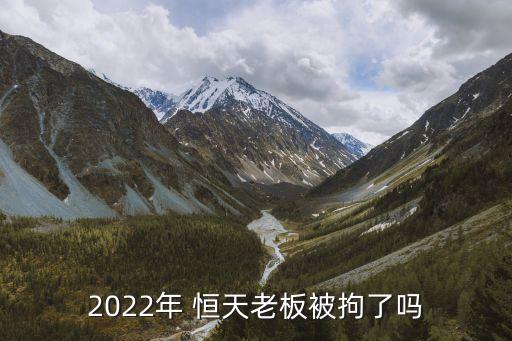 2022年 恒天老板被拘了嗎