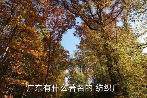 廣東有什么著名的 紡織廠