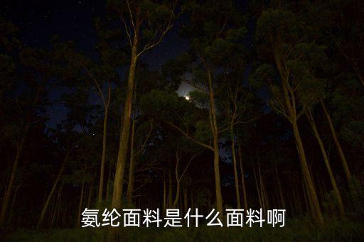  氨綸面料是什么面料啊