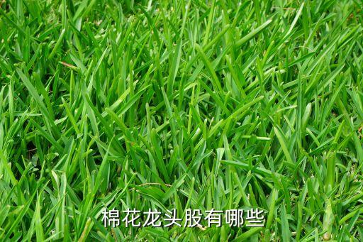  棉花龍頭股有哪些