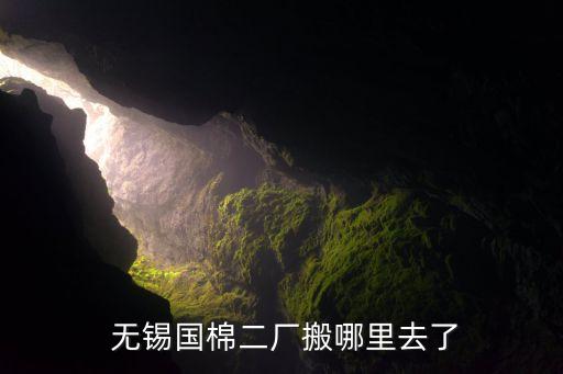  無錫國棉二廠搬哪里去了