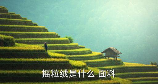 搖粒絨是什么 面料