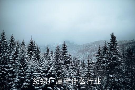紡織廠屬于什么行業(yè)