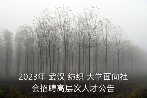 2023年 武漢 紡織 大學(xué)面向社會(huì)招聘高層次人才公告