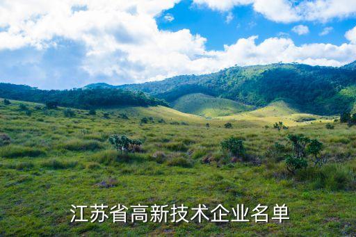  江蘇省高新技術(shù)企業(yè)名單