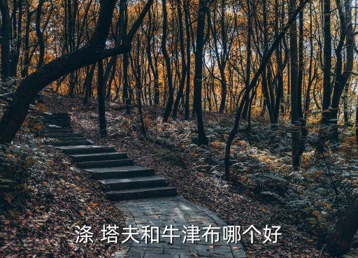 滌 塔夫和牛津布哪個(gè)好