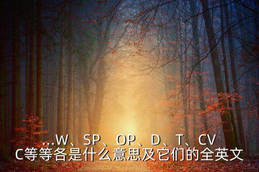 ...W、SP、OP、D、T、CVC等等各是什么意思及它們的全英文