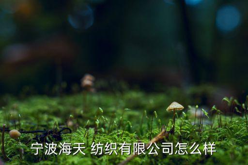寧波海天 紡織有限公司怎么樣