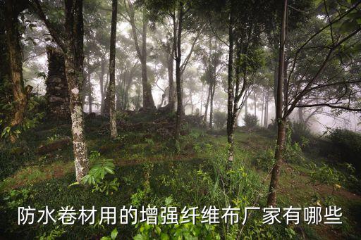 防水卷材用的增強纖維布廠家有哪些