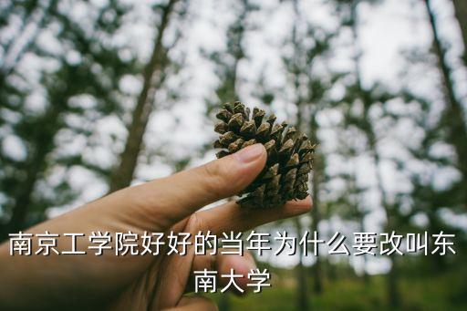 南京工學(xué)院好好的當(dāng)年為什么要改叫東南大學(xué)