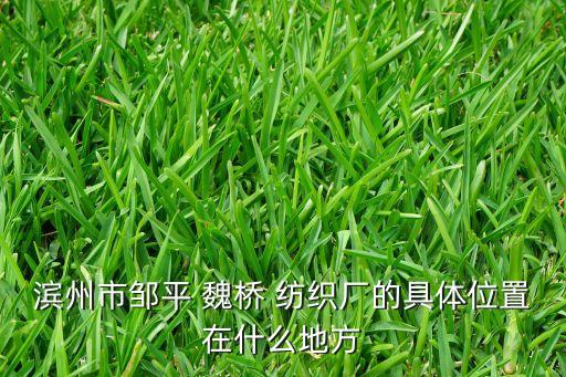 濱州市鄒平 魏橋 紡織廠的具體位置在什么地方