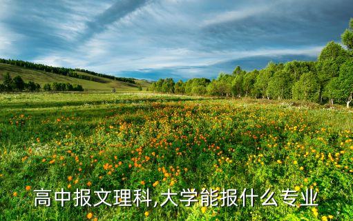 高中報(bào)文理科,大學(xué)能報(bào)什么專業(yè)