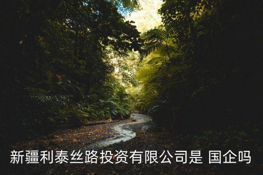 新疆利泰絲路投資有限公司是 國企嗎