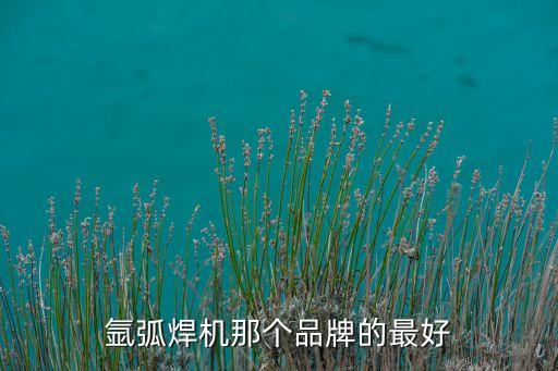 氬弧焊機(jī)那個(gè)品牌的最好