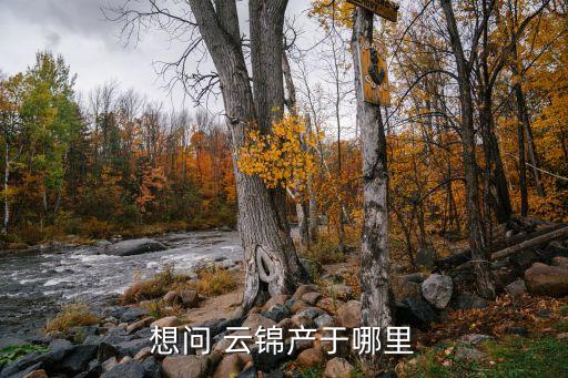 想問 云錦產(chǎn)于哪里