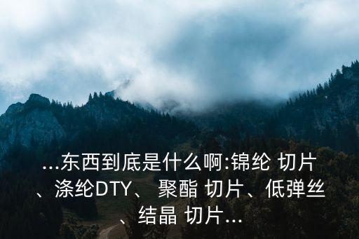 ...東西到底是什么啊:錦綸 切片、滌綸DTY、 聚酯 切片、低彈絲、結(jié)晶 切片...