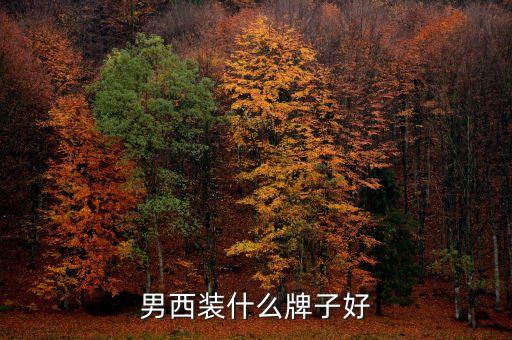 男西裝什么牌子好