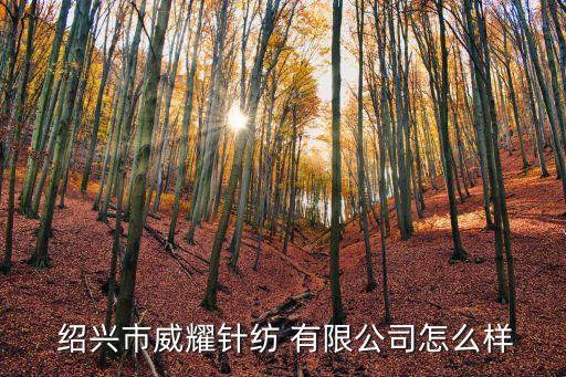  紹興市威耀針紡 有限公司怎么樣