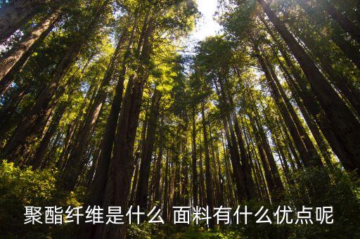 聚酯纖維是什么 面料有什么優(yōu)點呢