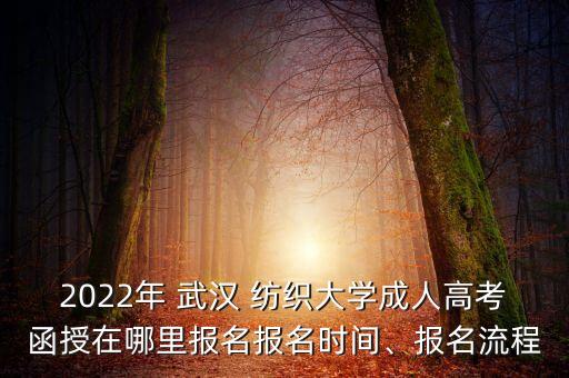武漢紡織大學(xué)?？汲煽?jī)查詢