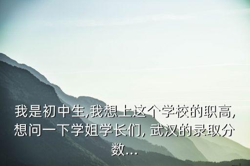 我是初中生,我想上這個(gè)學(xué)校的職高,想問(wèn)一下學(xué)姐學(xué)長(zhǎng)們, 武漢的錄取分?jǐn)?shù)...