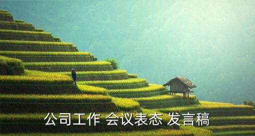公司工作 會議表態(tài) 發(fā)言稿