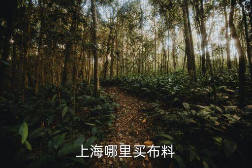 上海哪里買(mǎi)布料