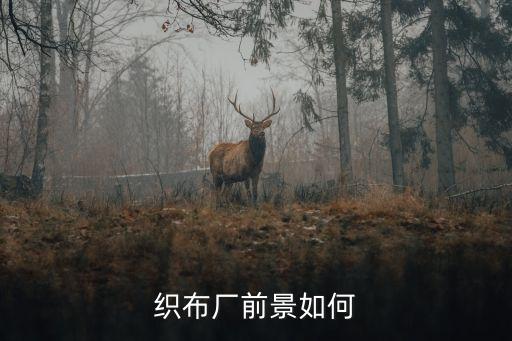 有人合作開紡織廠嗎,跟紡織廠合作的有哪些業(yè)務