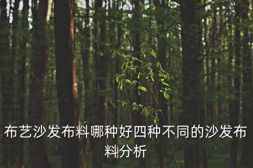 布藝沙發(fā)布料哪種好四種不同的沙發(fā)布料分析
