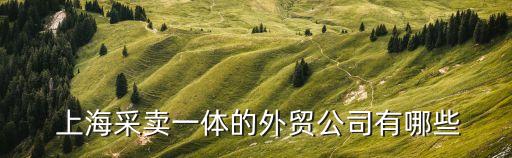  上海采賣一體的外貿(mào)公司有哪些