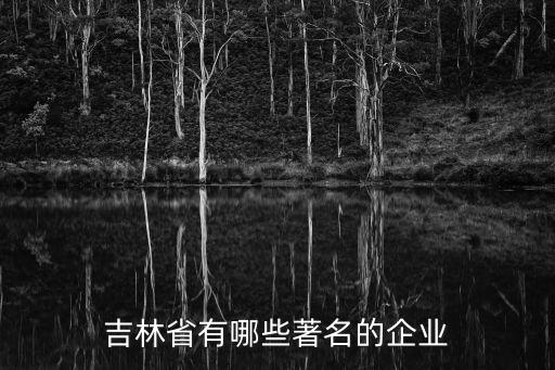 吉林省有哪些著名的企業(yè)