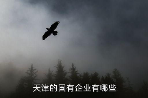  天津的國有企業(yè)有哪些