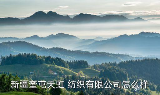 新疆奎屯天虹 紡織有限公司怎么樣
