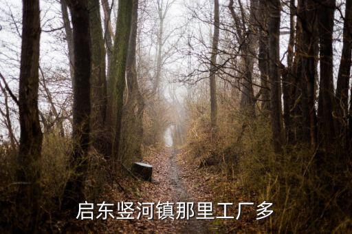 啟東豎河鎮(zhèn)那里工廠多