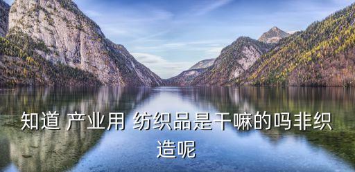 知道 產業(yè)用 紡織品是干嘛的嗎非織造呢