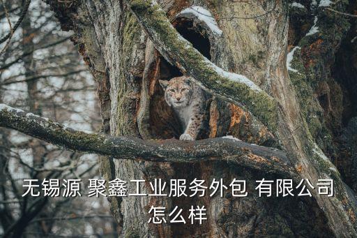 長興聚鑫紡織有限公司,長興鑫和紡織有限公司