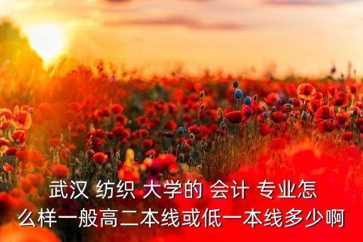 武漢紡織大學會計專業(yè)