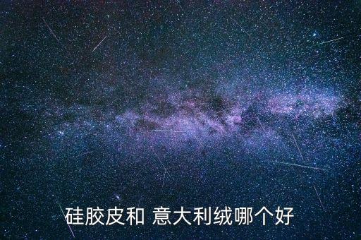 硅膠皮和 意大利絨哪個(gè)好