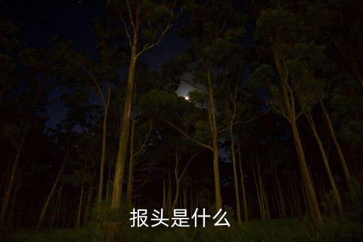 報(bào)頭是什么